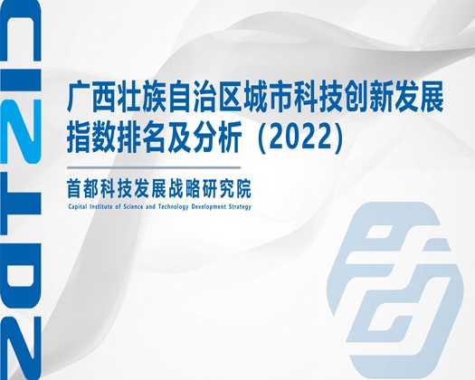 逼特逼黄色【成果发布】广西壮族自治区城市科技创新发展指数排名及分析（2022）